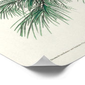  Owl Illustratie Poster (Hoek)