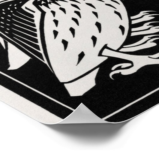 Owl Illustratie Poster (Hoek)