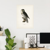  Owl Illustratie Poster (Thuiskantoor)