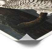  Owl Illustratie Poster (Hoek)