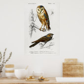  Owl Illustratie Poster (Keuken)