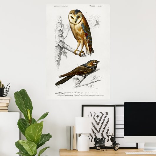  Owl Illustratie Poster (Thuiskantoor)