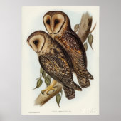  Owl Illustratie Poster (Voorkant)