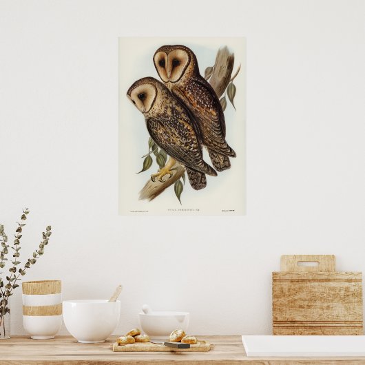 Owl Illustratie Poster (Keuken)