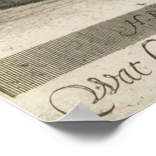  Owl Illustratie Poster (Hoek)