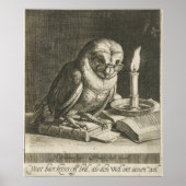  Owl Illustratie Poster (Voorkant)