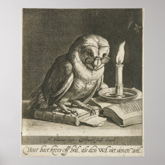  Owl Illustratie Poster (Voorkant)