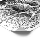  Owl Illustratie Poster (Hoek)