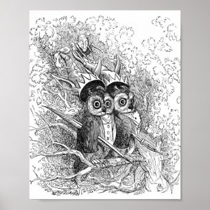 Owl Illustratie Poster