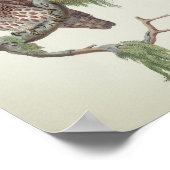 Owl Illustratie Poster (Hoek)