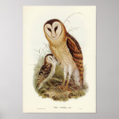 Owl Illustratie Poster (Voorkant)