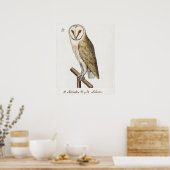  Owl Illustratie Poster (Keuken)