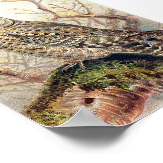 Owl Illustratie Poster (Hoek)