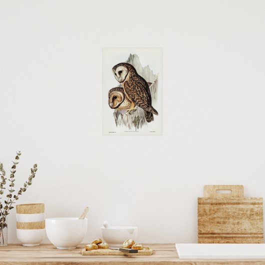  Owl Illustratie Poster (Keuken)