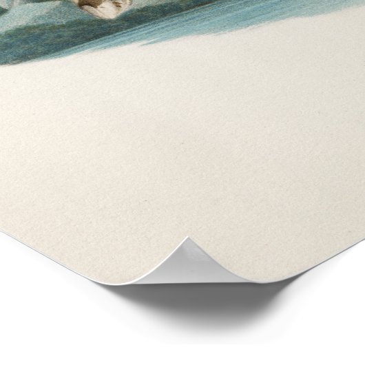 Owl Illustratie Poster (Hoek)