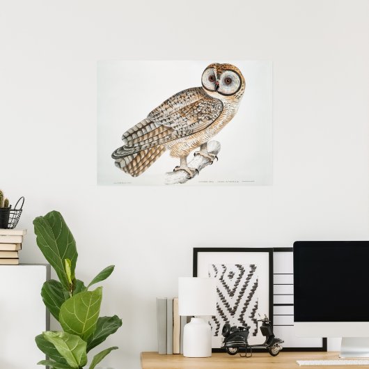 Owl Illustratie Poster (Thuiskantoor)