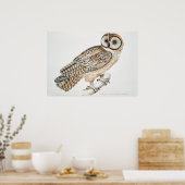  Owl Illustratie Poster (Keuken)