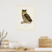  Owl Illustratie Poster (Keuken)