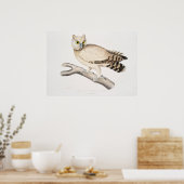 Owl Illustratie Poster (Keuken)