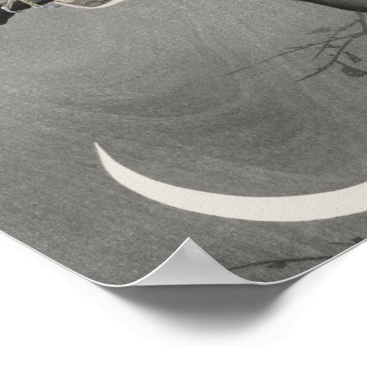  Owl Illustratie Poster (Hoek)