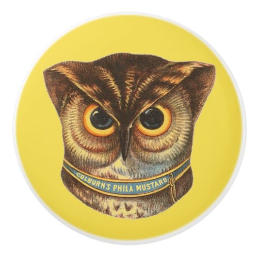  owl illustration advertence keramische knop (Voorkant)