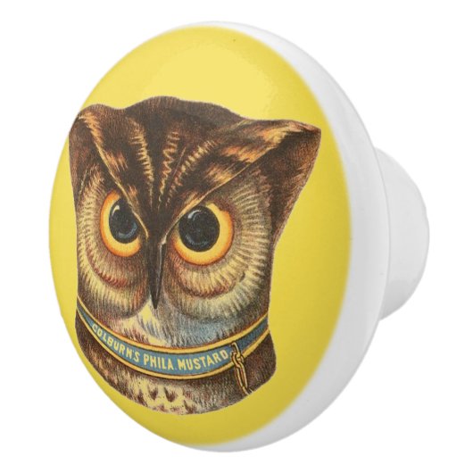  owl illustration advertence keramische knop (Rechts)