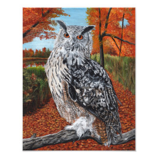 Owl in Autumn Forest Fine Art  Foto Afdruk