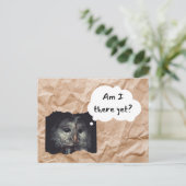 Owl in Brown Bag Briefkaart "Ben ik er nog?" Humor (Staand voorkant)