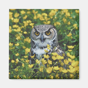 Owl in Buttercups Magneet