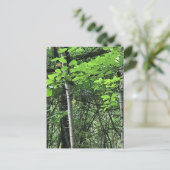 Owl in de bomen, Oregon Briefkaart (Staand voorkant)