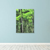 Owl in de bomen, Oregon Canvas Afdruk (Insitu (Houten vloer))