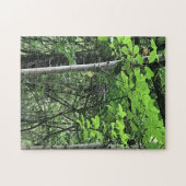 Owl in de bomen, Oregon Legpuzzel (Horizontaal)