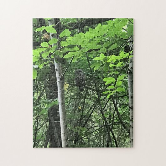 Owl in de bomen, Oregon Legpuzzel (Verticaal)