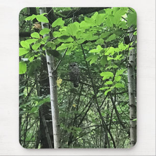 Owl in de bomen, Oregon Muismat