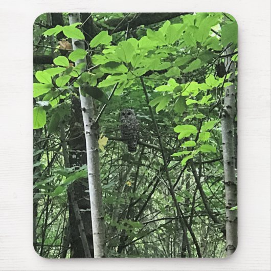 Owl in de bomen, Oregon Muismat (Voorkant)