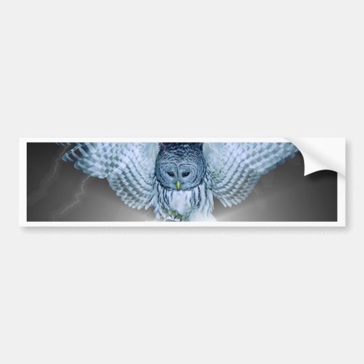 OWL in de DARK Bumpersticker (Voorkant)