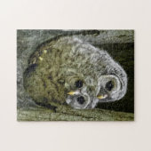 Owl in de familie legpuzzel (Horizontaal)