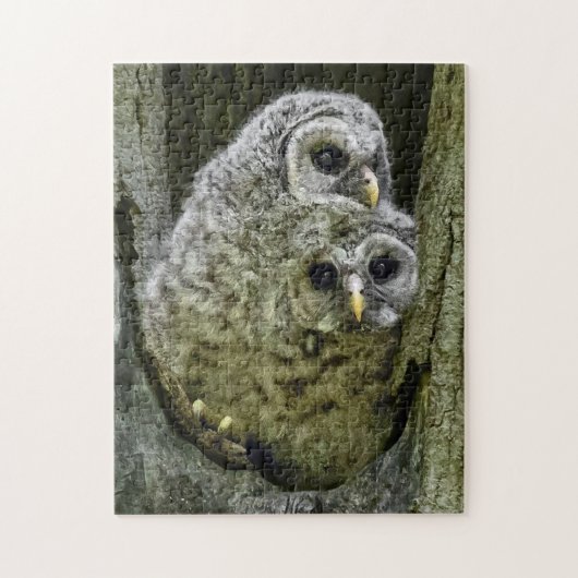 Owl in de familie legpuzzel (Verticaal)
