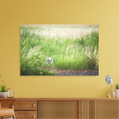 Owl in de gras canvas afdruk (Insitu (Woonkamer))