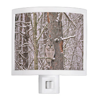 Owl in de sneeuw nachtlampje
