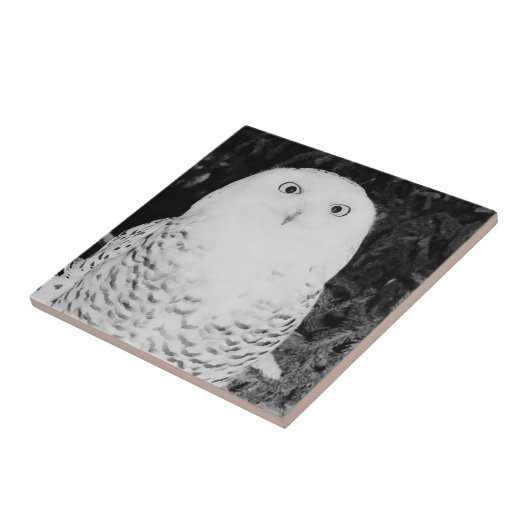 Owl in de sneeuw tegeltje (Zijkant)