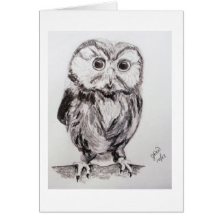 Owl in de wereld, ben je?