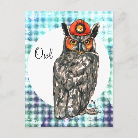Owl in een helm briefkaart (Voorkant)