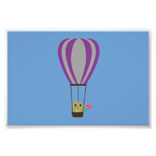 Owl in een heteluchtballon met een lolly foto afdruk