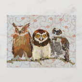 OWL IN EEN ROW Briefkaart (Voorkant)