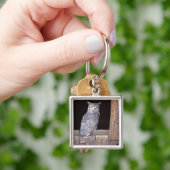 Owl in een venster sleutelhanger (Hand)