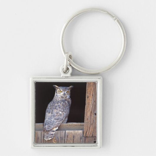 Owl in een venster sleutelhanger (Voorkant)