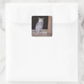 Owl in een venster vierkante sticker (Tas)