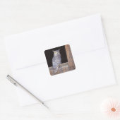 Owl in een venster vierkante sticker (Envelop)