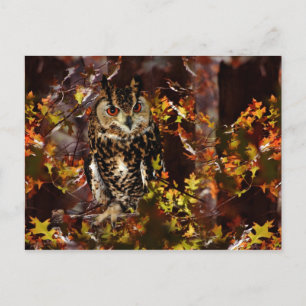 Owl in het najaar briefkaart